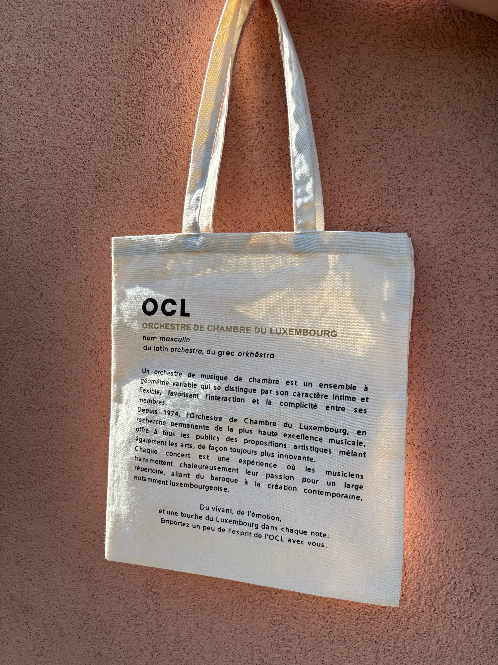 Le Tote bag