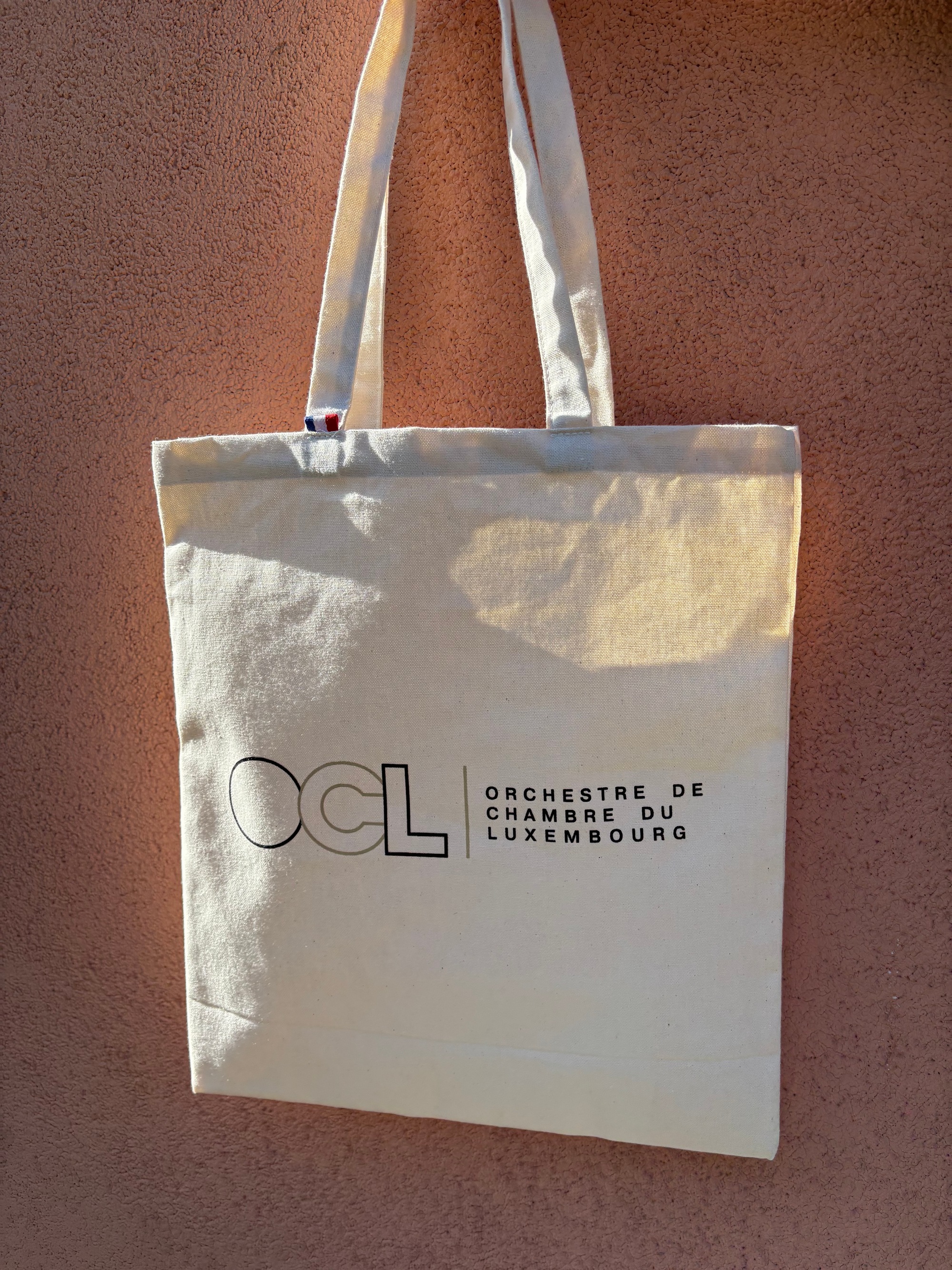 Le Tote bag