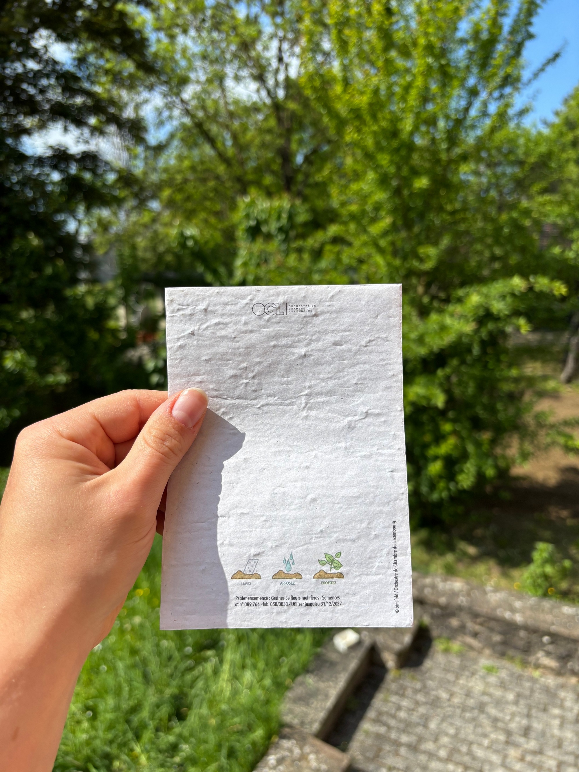 Les cartes